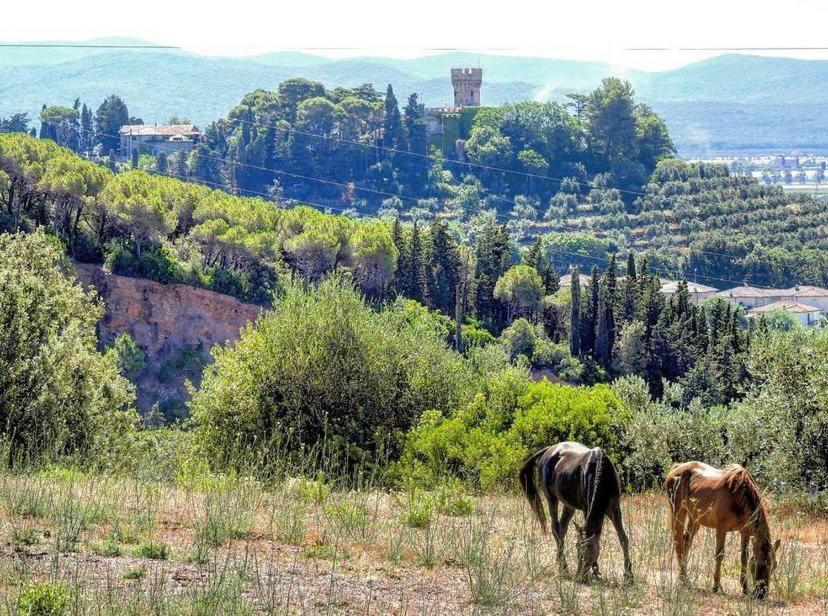 B&B Villa Il Poggetto เวนตูรีนา แตร์เม ภายนอก รูปภาพ