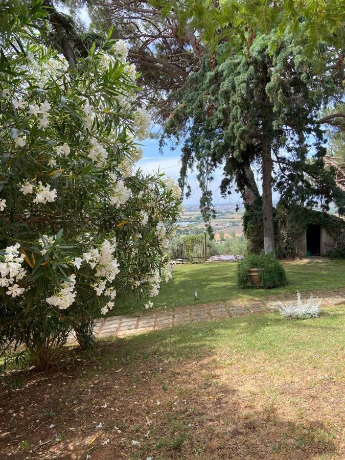 B&B Villa Il Poggetto เวนตูรีนา แตร์เม ภายนอก รูปภาพ
