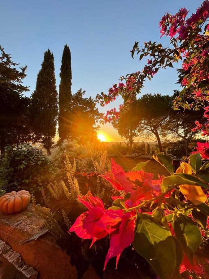 B&B Villa Il Poggetto เวนตูรีนา แตร์เม ภายนอก รูปภาพ