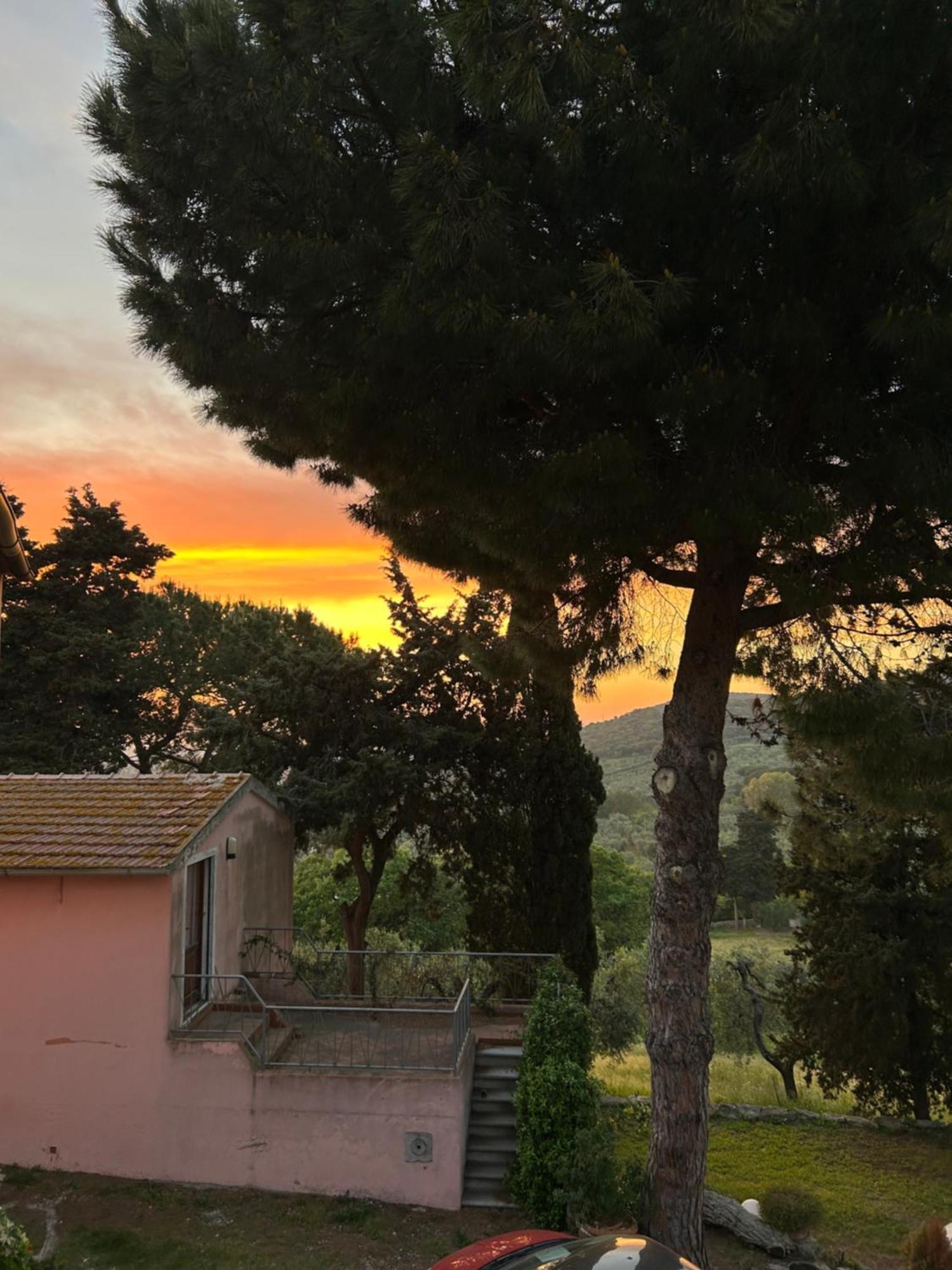 B&B Villa Il Poggetto เวนตูรีนา แตร์เม ภายนอก รูปภาพ