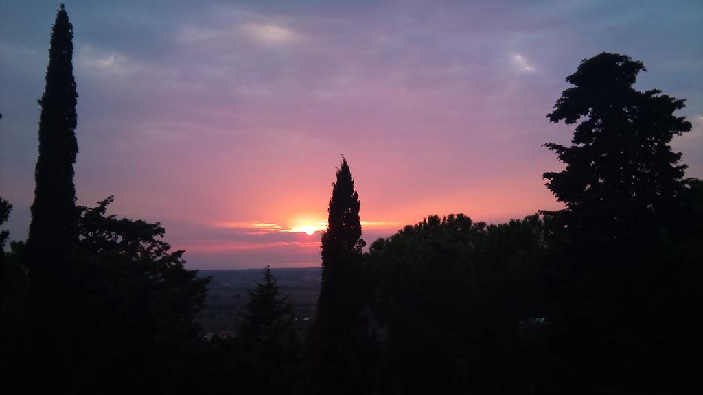 B&B Villa Il Poggetto เวนตูรีนา แตร์เม ภายนอก รูปภาพ