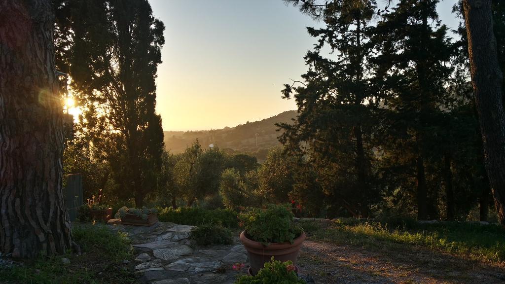 B&B Villa Il Poggetto เวนตูรีนา แตร์เม ภายนอก รูปภาพ