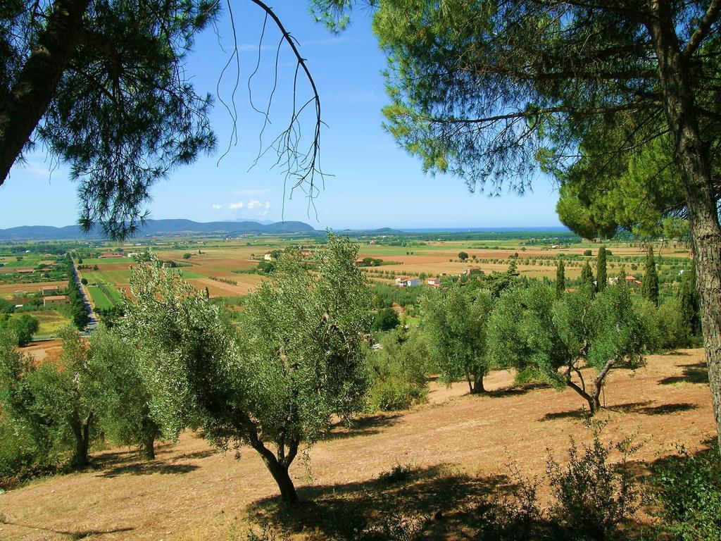 B&B Villa Il Poggetto เวนตูรีนา แตร์เม ภายนอก รูปภาพ