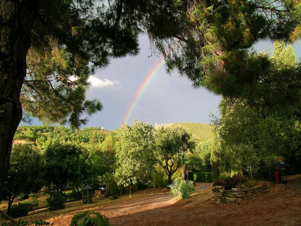 B&B Villa Il Poggetto เวนตูรีนา แตร์เม ภายนอก รูปภาพ
